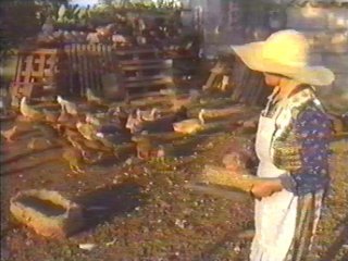 CAMPO - (27)  LABRANZA